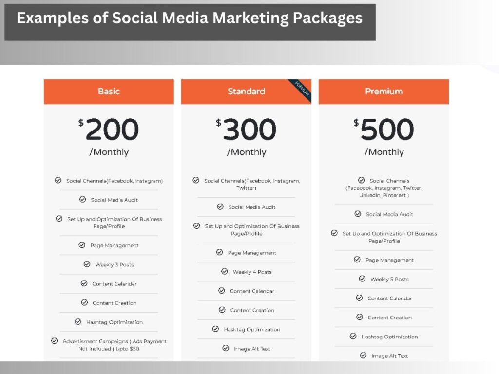 Examples of Social Media Marketing Packages